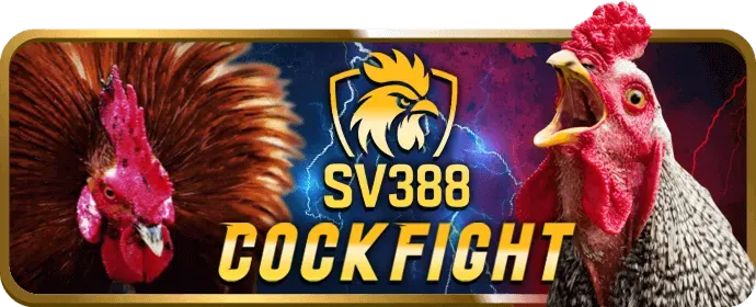 Giao diện Vin99 chuyên nghiệp