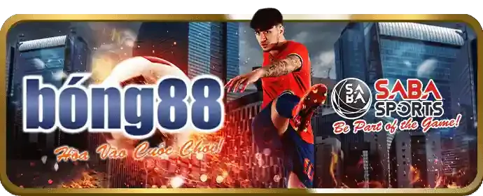 Phát sóng đá gà trực tiếp